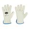  Feldtmann löschen 0292 AVUS Handschuh Var12395693