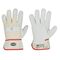  Feldtmann löschen 0162 STIERKOPF Handschuh Var12395392