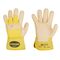  Feldtmann löschen 0164 LION Handschuh Var12395915
