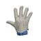  Feldtmann löschen 0848 Stechschutz-Handschuh LINKS Var12396083