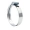  7310 W2-SCHLAUCHSCHELLE 9 mm EVERTEC W2-SCHLAUCHSCHELLE, 9 mm breit,  Gr.  10-16mm 12392133
