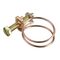  7340 DRAHTSCHLAUCHSCHELLE EVERTEC DRAHTSCHLAUCHSCHELLE Gr.  22-26mm 12392174