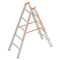  Layher Steigtechnik Leitern Sprossenstehleiter TOPIC 5 Sprossen, Aluminiumleiter 2x5 Sprossen, beidseitig begehbar, klappbar, Länge 1.55 m 12405372