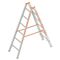  Layher Steigtechnik Leitern Sprossenstehleiter TOPIC 6 Sprossen, Aluminiumleiter 2x6 Sprossen, beidseitig begehbar, klappbar, Länge 1.85 m 12405371