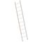  Layher Steigtechnik Leitern Sprossenanlegeleiter TOPIC 10 Sprossen; Aluminiumleiter mit 10 Sprossen, Länge 2.85 m 12405365