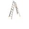  Layher Steigtechnik Leitern Teleskopleiter TOPIC 4x4 Sprossen; Aluminiumleiter klappbar und universell einsetzbar, Länge 4.16 m 12405419