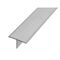  T-PROFIL T-PROFIL 21/42mm, L=250cm, T22/250A 12445671