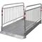  Grabenbrücke Schake Grabenbrücke „Secure”aus Aluminium, 1x3,2m 12450418