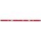  Wasserwagen Milwaukee Wasserwaage REDSTICK Premium 200 cm lang 12428387