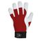  Feldtmann löschen 0278 CARVER Handschuh Var12395918