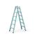  Coni B - LM-Stehleiter LM-SPR.-STEHLEITER Z600 2 X  6 SPR. 40311 12456753