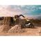  Teleskoplader Liebherr T 48-8s 12466506