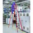  EFAmix B - Kst-Stufen-Stehleiter KUNSTSTOFF-STEHLEITER 2 X  6 SPR. 41167 12456774