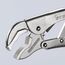  Gripzange Gripzangen KNIPEX 41 14 250 Gripzange verzinkt 250 mm 12380796