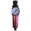  Filter-Druckminderer ELMAG Filter-Druckminderer FRM, 1/4, 1 Stk. Pack., SB 12411452