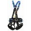  EN 361 / EN 358 / EN 813 Artex Auffang- / Haltegurt AX 71 12361679