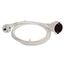  Verlängerung PVC 230V as-Schwabe PVC-Verlängerung 10m, H05VV-F 3G1,5, weiß, IP20 12361969