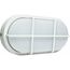  Oval und Rundleuchten as-Schwabe LED-Ovalleuchte mit SAMSUNG-Chip 20W weiß, ohne Zuleitung 12362358