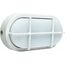 Oval und Rundleuchten as-Schwabe LED-Ovalleuchte mit SAMSUNG-Chip 7W weiß, ohne Zuleitung 12362361