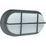  Oval und Rundleuchten as-Schwabe LED-Ovalleuchte mit SAMSUNG-Chip 7W anthrazit, ohne Zuleitung 12362359