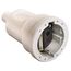  Steckvorrichtung 230V as-Schwabe PVC-Kupplung, weiß, max. Querschnitt 1,5mm² 230V/16A 12362595