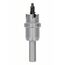  Precision for Sheet Metal Lochsägen Bosch TCT Lochsäge, 19 mm, für Dreh- und Schlagbohrer 12373819