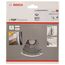  Kreissägeblatt Top Precision Best for Laminated Panel für Paneelkreissägen Bosch Vorritzblatt Top Precision Laminated Panel, für vertikale Paneelkreissägen 12372903