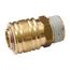  Außengewinde ELMAG Kupplung AG 1/2", Messing 12410876