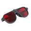  DISTO-Systemzubehör NESTLE Lasersichtbrille 12385432
