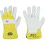  0210 EISBÄR Handschuh Stronghand *EISBÄR* HANDSCHUHE Gr.  10 12396028