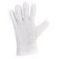  Handschuhe Stronghand *REMEL* HANDSCHUHE Gr.  10H 12395368