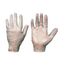  0429 HAIKOU Handschuh Stronghand *HAIKOU* HANDSCHUHE Gr.  8 12395322