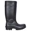  Fußschutz Stiefel COFRA *TARANTO* PU-STIEFEL Gr.  37 12396816
