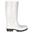  Fußschutz Stiefel COFRA *LECCE* PU-STIEFEL Gr.  38 12396451