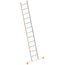  Layher Steigtechnik Leitern Sprossenanlegeleiter TOPIC 12 Sprossen; Aluminiumleiter mit 12 Sprossen, Länge 3.40 m 12405440