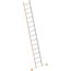  Layher Steigtechnik Leitern Sprossenanlegeleiter TOPIC 14 Sprossen; Aluminiumleiter mit 14 Sprossen, Länge 3.95 m 12405363