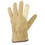  Handschuhe SANTA FE *PONDOSA DRIVER* HANDSCHUHE Gr.  10 12396036