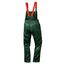  Latzhose *ERLE* SCHNITTSCHUTZLATZHOSE GRÜN Gr. 56 12394053
