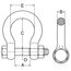  Hochfeste Schäkel, geschweifte Form, mit Mutter und Splint McBULL® Schäkel, hochfest, geschweift, Mutter/Splint, 1", 8,5 t 12403527