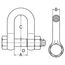  Hochfeste Schäkel, gerade Form, mit Mutter und Splint McBULL® Schäkel, hochfest, gerade, Mutter/Splint, 1", 8,5 t 12403511
