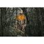  Thermo-Jacken und Pullover Milwaukee Akku-Thermo-Jacke M12HJCAMO6-0 ohne Akku, Gr. S camouflage 12443298