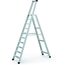  Seventec S - LM-Stufen-Stehleiter LM-Stehleiter Z500 Seventec 10 Stufen 12456869