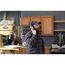  Gehörschützer ISOtunes Gehörschutz ISOtunes LINK Aware bluetooth active 12465623