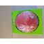  Kopfschutz KASK Bauschutzhelm Plasma AQ rot - DIN EN 397 12463330
